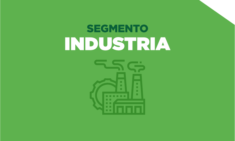 Segmento Industria